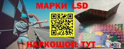 прущие грибы Кунгур