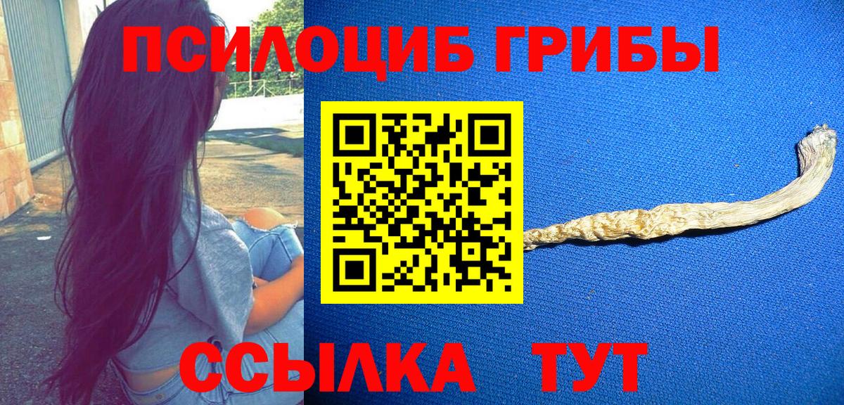 Галлюциногенные грибы MAGIC MUSHROOMS  Вход с VPN  Касимов 