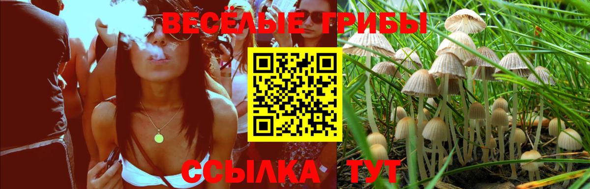 Галлюциногенные грибы Magic Shrooms Касимов